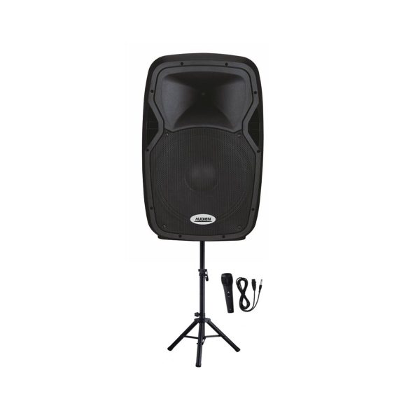 Audien Αυτοενισχυόμενο Ηχείο PA SM-3315A20 120W με Woofer 15"